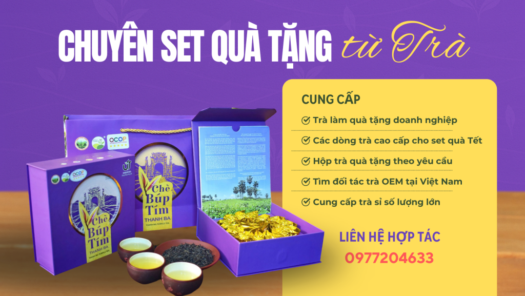 Chè búp tím Thanh Ba OCOP 5 sao