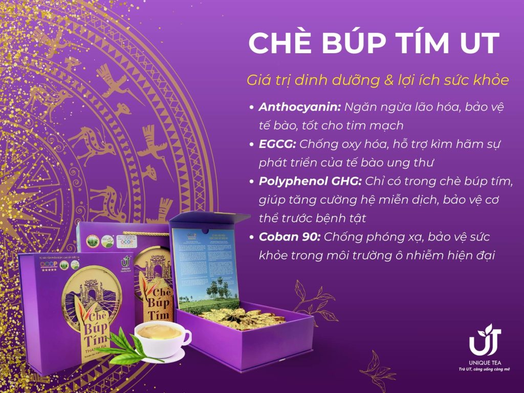 Chè Búp Tím UT - Mang nhiều hoạt chất quý hiếm tốt cho sức khỏe