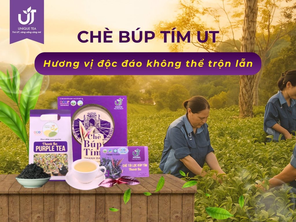 Chè búp tím mang những nét độc đáo không thể trộn lẫn