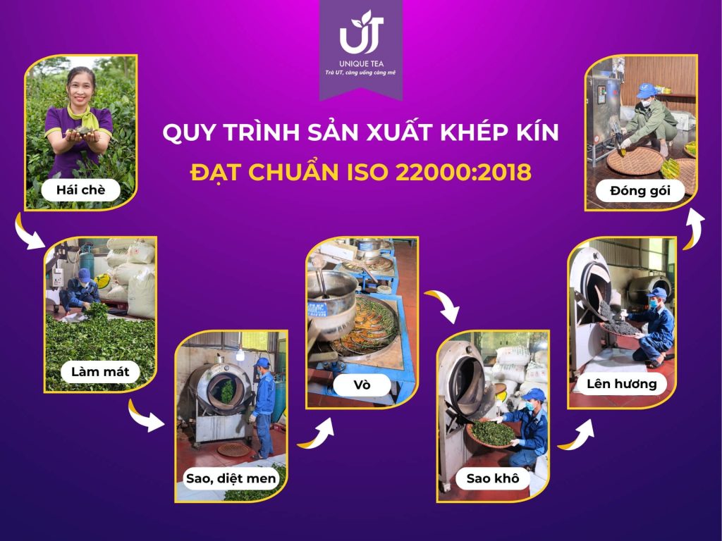 Quy trình sản xuất Chè Búp Tím UT đạt chuẩn ISO 22000:2018