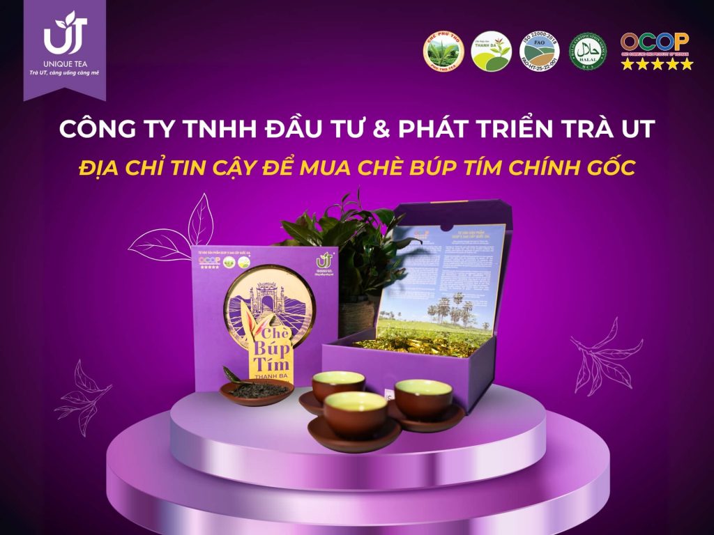 Trà UT - Đơn vị cung cấp chè búp tím chính gốc Thanh Ba, Phú Thọ