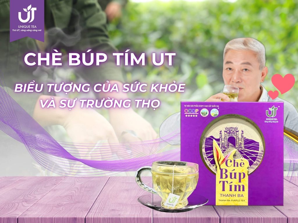 Chè búp tím – Biểu tượng của sức khỏe và sự trường thọ