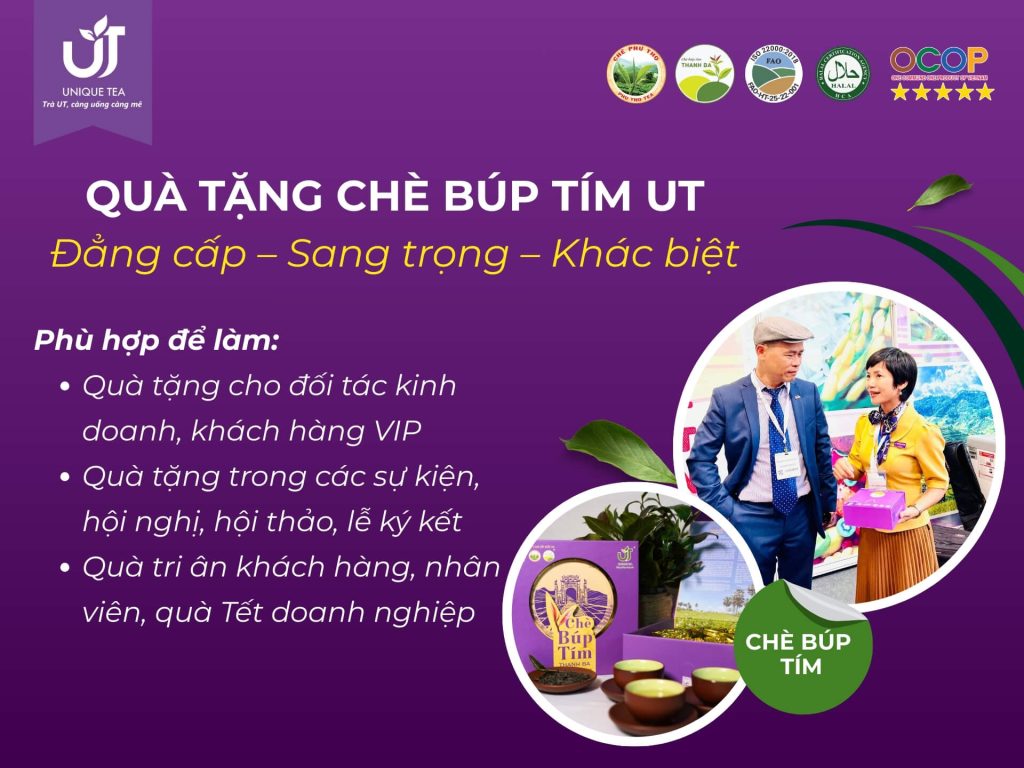 Chè Búp Tím UT – Quà Tặng Đẳng Cấp, Sang Trọng, Khác Biệt