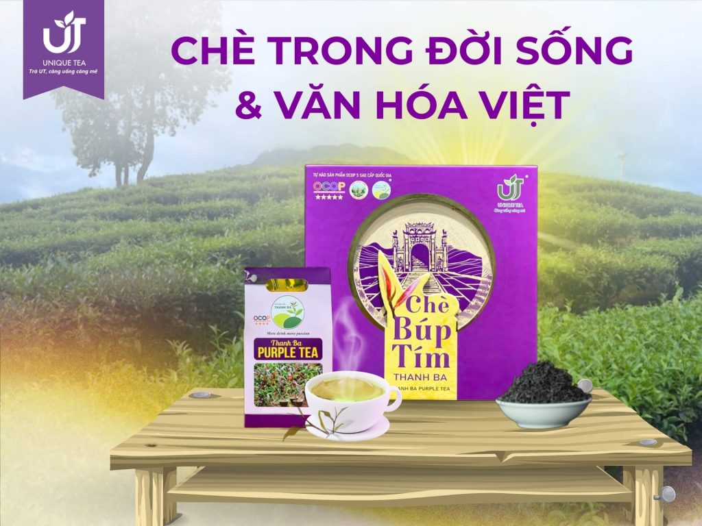 So Sánh Chè Búp Tím Và Chè Xanh Trong Văn Hóa Ẩm Thực Việt
