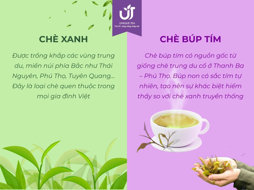 Sự khác biệt về nguồn gốc và vùng trồng