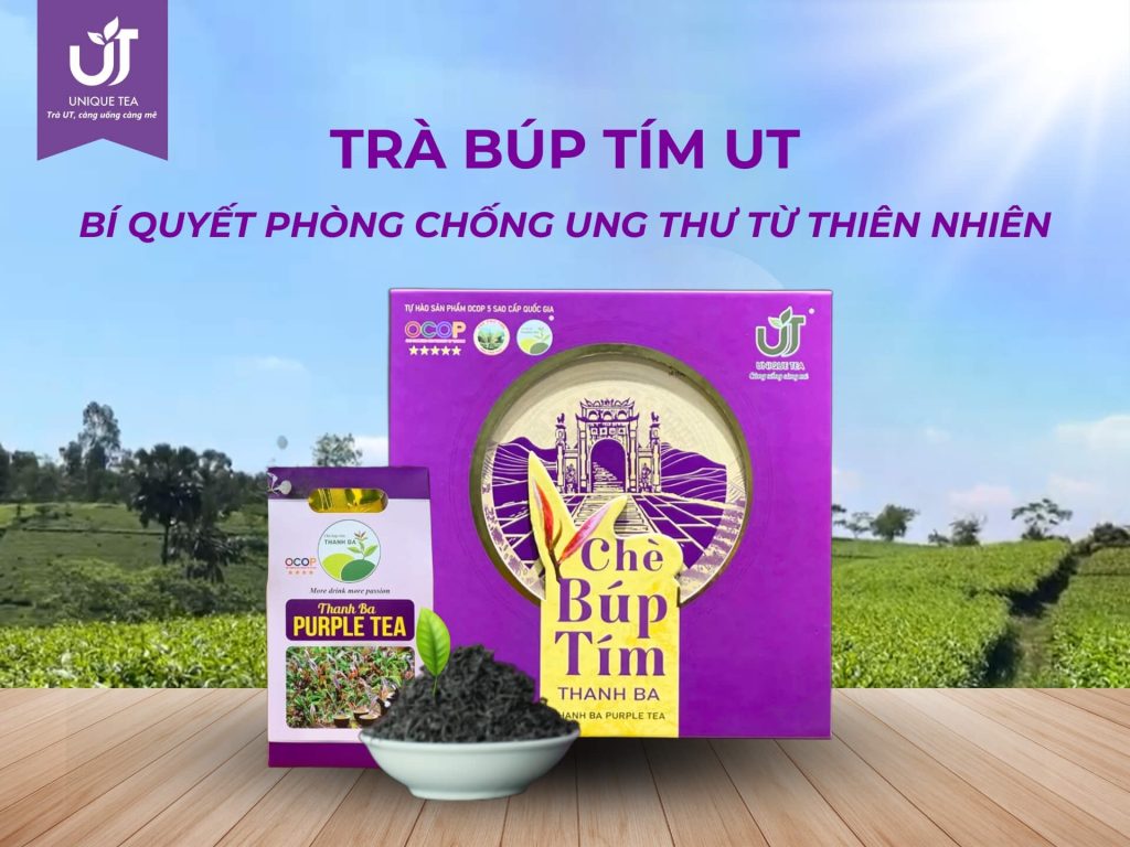 Trà Búp Tím UT – Bí Quyết Phòng Chống Ung Thư Từ Thiên Nhiên