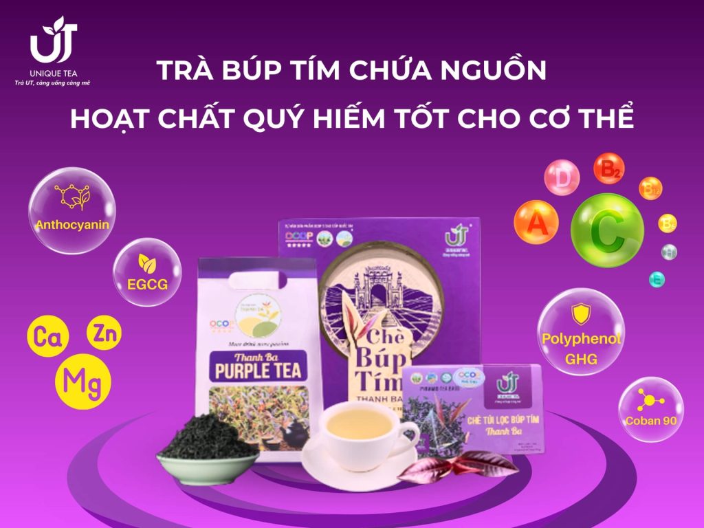 Trà Búp Tím chứa nguồn hoạt chất quý hiếm tốt cho cơ thể